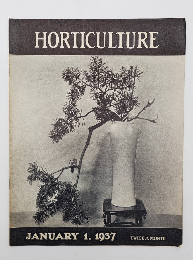 Vintage Horticulture Magazine January 1 1937 The Showy Mustard Plants