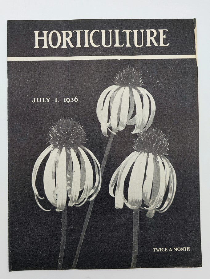 Cover of VTG Horticulture Magazine dated July 1, 1936 featuring Echinacea Angustifolia, showcasing a vintage design and prominent plant illustrations.