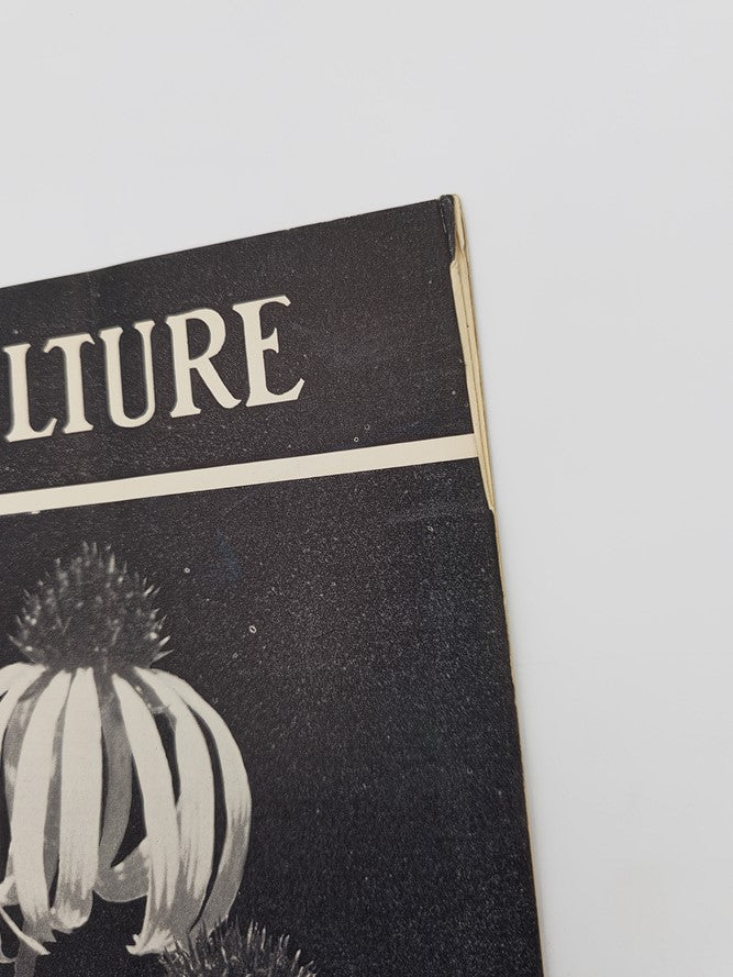 Close-up of the top corner of the VTG Horticulture Magazine July 1, 1936, highlighting the magazine title and design featuring Echinacea Angustifolia.