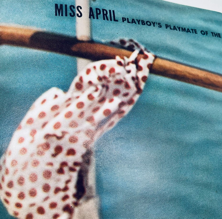 Cover image of April 1963 Playboy Magazine featuring Sandra Settani as Miss April, showcasing a vintage photography style.