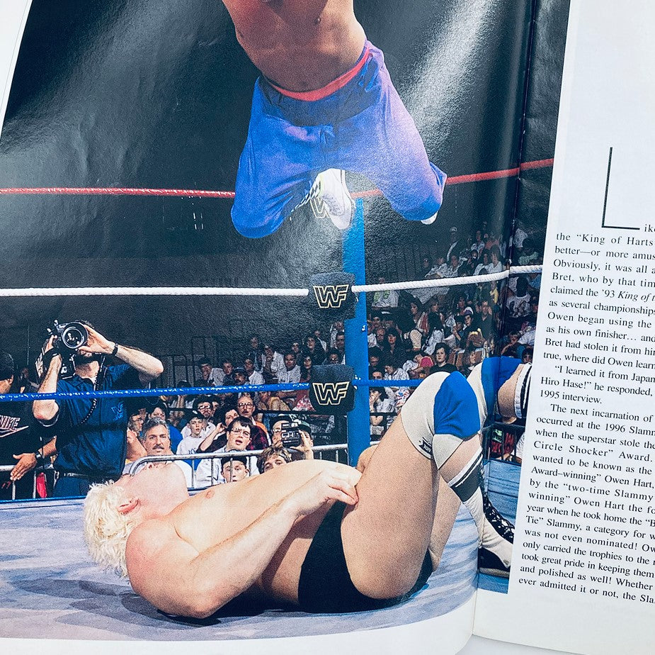 WWF World Wrestling Federation Magazine Owen Hart Tribute 1965-1999 - A dynamic moment capturing Owen Hart soaring through the air during a wrestling match.