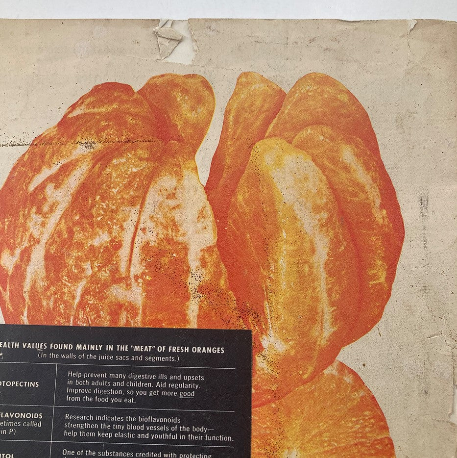 Close-up of the Sunkist Oranges advertisement on the back cover of The Saturday Evening Post September 24 1955, highlighting health values and benefits found in fresh oranges.