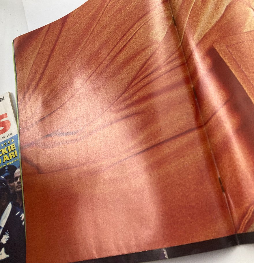 Inside page of VTG Platinum Presents No. 8 1980 showing a textured brown backdrop, likely from an article or feature on Elvis Presley.