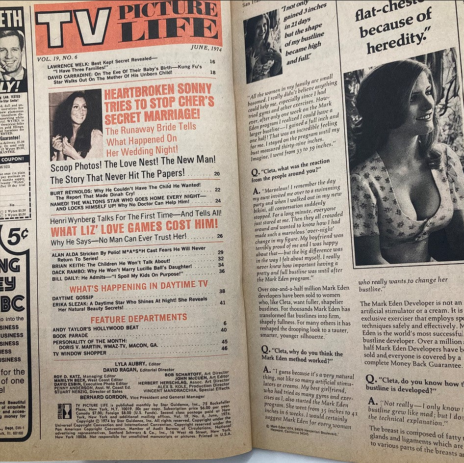 Interior page of the Vintage TV Picture Life Magazine June 1974, Vol 19 #6 displaying the table of contents and features like Burt Reynolds and daytime TV gossip. The page captures the essence of 1970s pop culture.