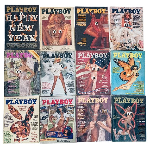 VTG Playboy Magazine Lot of 12 Full 1976 Year Issue featuring iconic covers with centerfolds from renowned models, showcasing a collection of vintage magazine history.