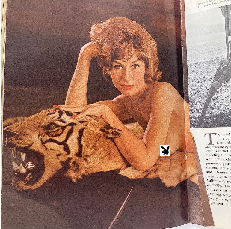 Centerfold image of Dianne Danford from VTG Playboy Magazine November 1961, featuring her posed artistically on a tiger skin.