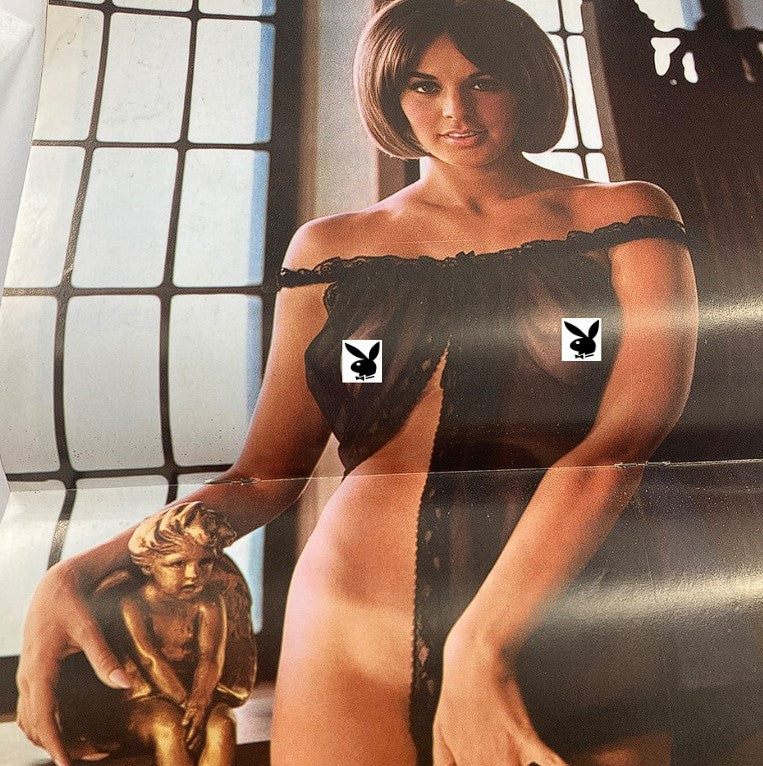 VTG Playboy Magazine November 1965 centerfold of Playmate Pat Russo, displaying vintage style and allure, emphasizing the magazine's signature content.