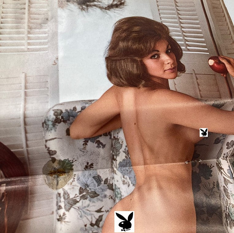 Playboy Magazine May 1963 featuring Playmate Sharon Cintron, showcasing her beauty and allure in a vintage centerfold photograph.