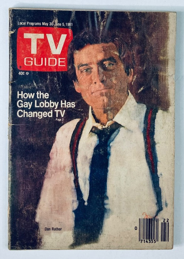 TV Guide Magazine cover from May 30, 1981 featuring Dan Rather and an article titled 'How the Gay Lobby Has Changed TV'. This vintage issue captures the early 1980s television landscape and addresses LGBTQ+ visibility.