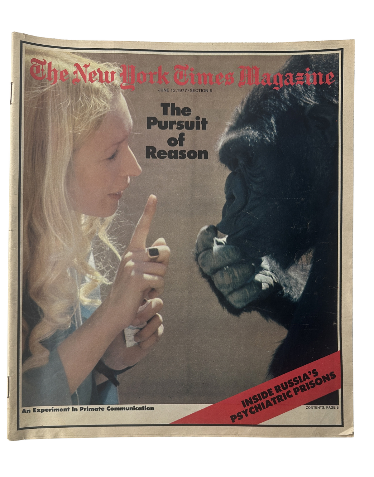 The New York Times Magazine cover from June 12, 1977 featuring an illustration of a woman interacting with a gorilla, titled 'The Pursuit of Reason'. The cover explores an experiment in primate communication and highlights the complexities of nonhuman primate intelligence.