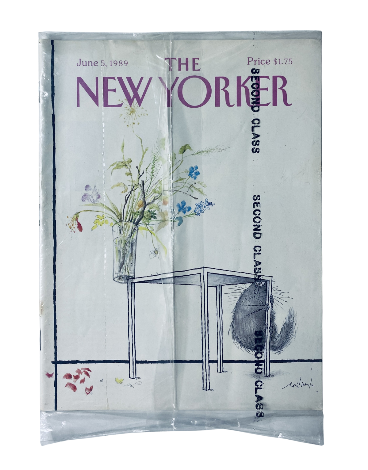 SEALED The New Yorker Magazine June 5, 1989 cover featuring a cat under a table with a flower vase, showcasing vintage artwork and original magazine condition.