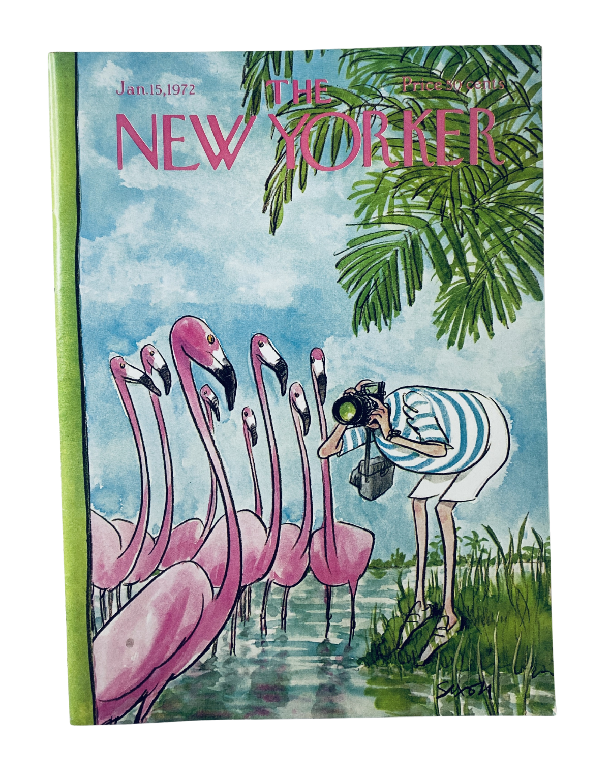The New Yorker Magazine January 15, 1972 cover featuring whimsical illustration of flamingos and a photographer by Charles Saxon.