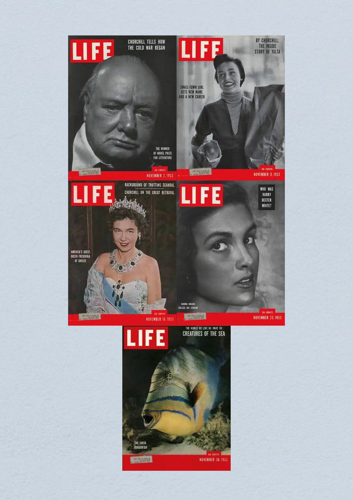 Life Magazine Lot of 5 Full Month of November 1953 featuring covers from November 2, 9, 16, 23, and 30 including Winston Churchill, Queen Frederika of Greece, and diverse cultural themes.