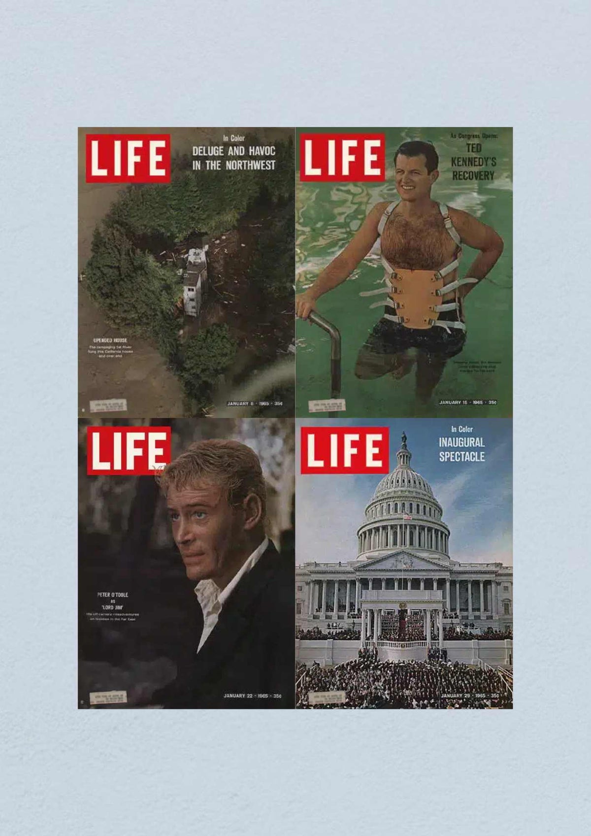 Life Magazine January 29, 1965 cover depicting a large gathering at the Capitol for an inaugural event, titled 'Inaugural Spectacle.'