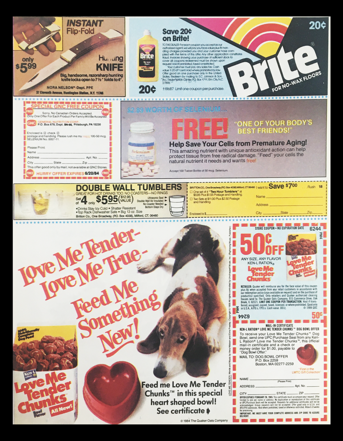 Advertisement with various products including Brite cleaner, double wall tumblers, and pet food promotions alongside a coupon. Features a playful dog, highlighting discounts and product features.