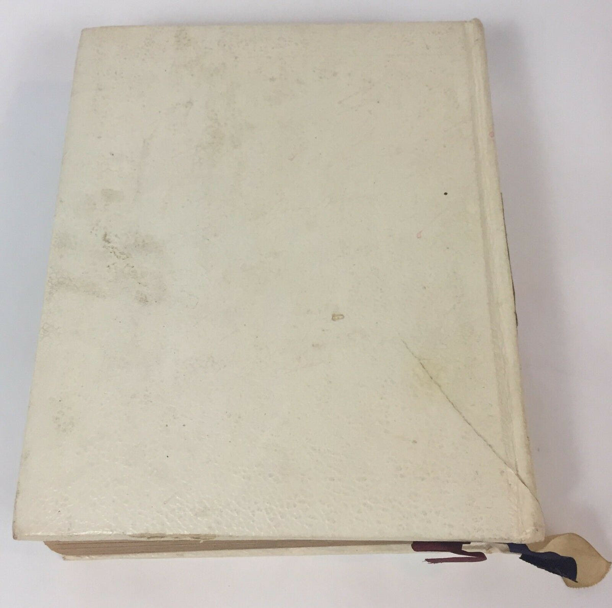Top view of the Holy Bible Book The Christian Life Edition American Bible 1973 in English, showing a slightly worn white cover with red, white, and blue bookmark ribbons.