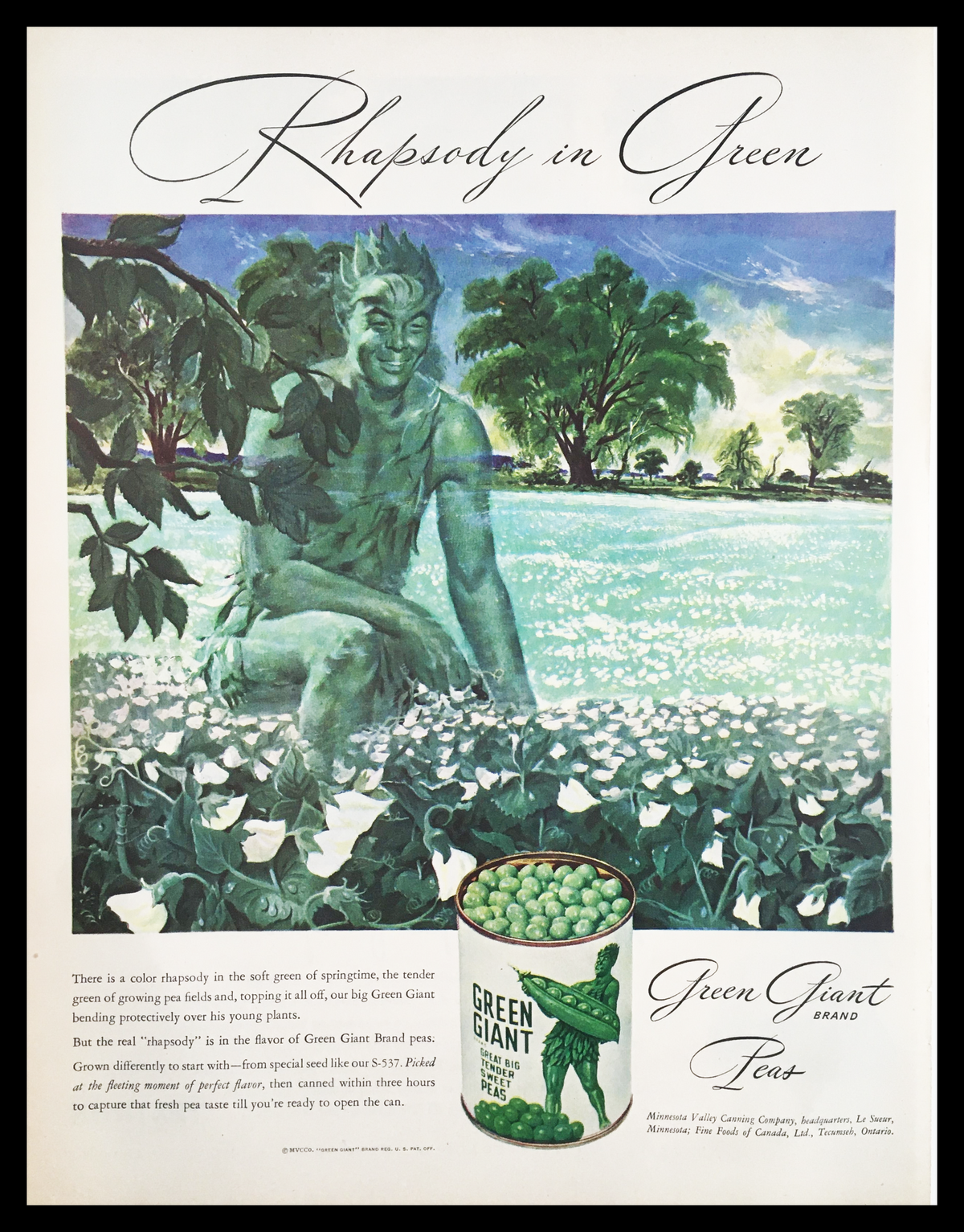 1947 Green Giant Brand Tender Sweet Peas Vintage Print Ad