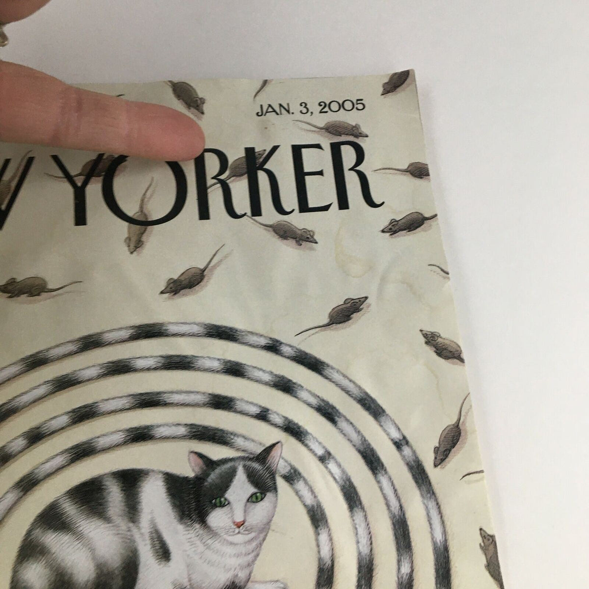 Upper section of The New Yorker Magazine January 3 2005 showcasing the title and date, with background art featuring mice around a spiral design.