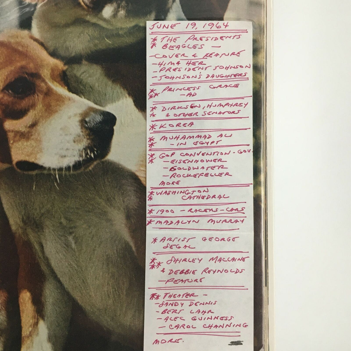 Detailed overview of articles featured in the VTG Life Magazine June 19, 1964, highlighting 'The President's Beagles' on the cover, including topics such as political events and notable figures of the era.