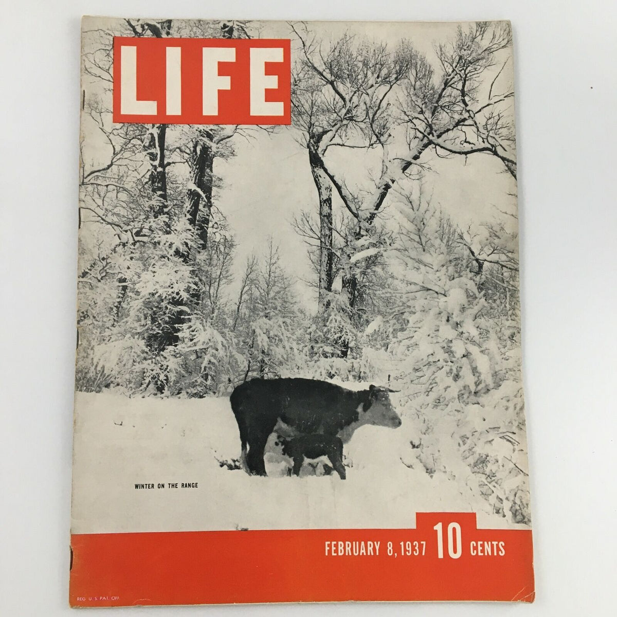 VTG Life Magazine February 8 1937 cover featuring 'Winter On The Range' with a cow and calf in a snowy landscape.