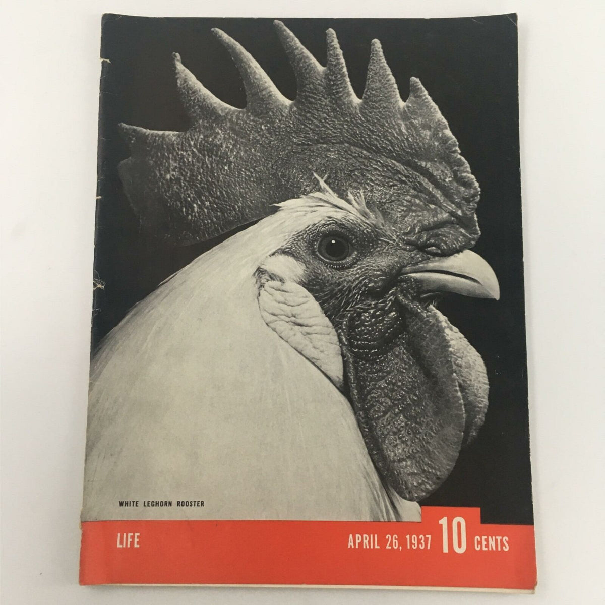 Cover of VTG Life Magazine from April 26, 1937 featuring a striking portrait of a White Leghorn Rooster, highlighting the magazine's vintage appeal and historical significance.