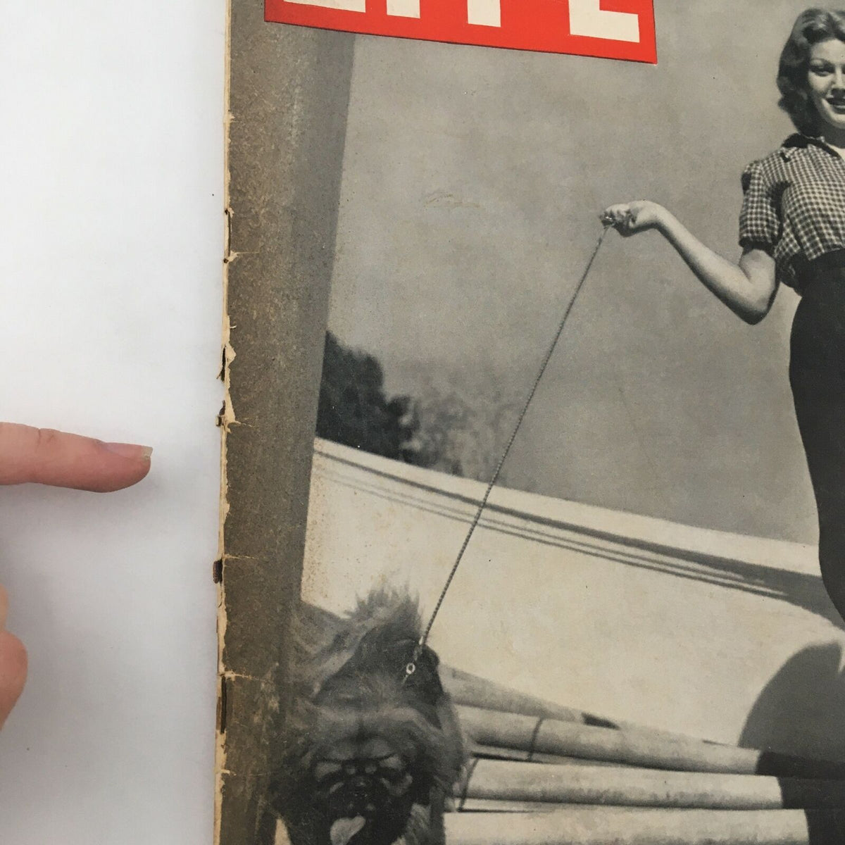 Close-up of the VTG Life Magazine January 29 1940 cover, highlighting minor wear and detailing of starlet Lana Turner's image.