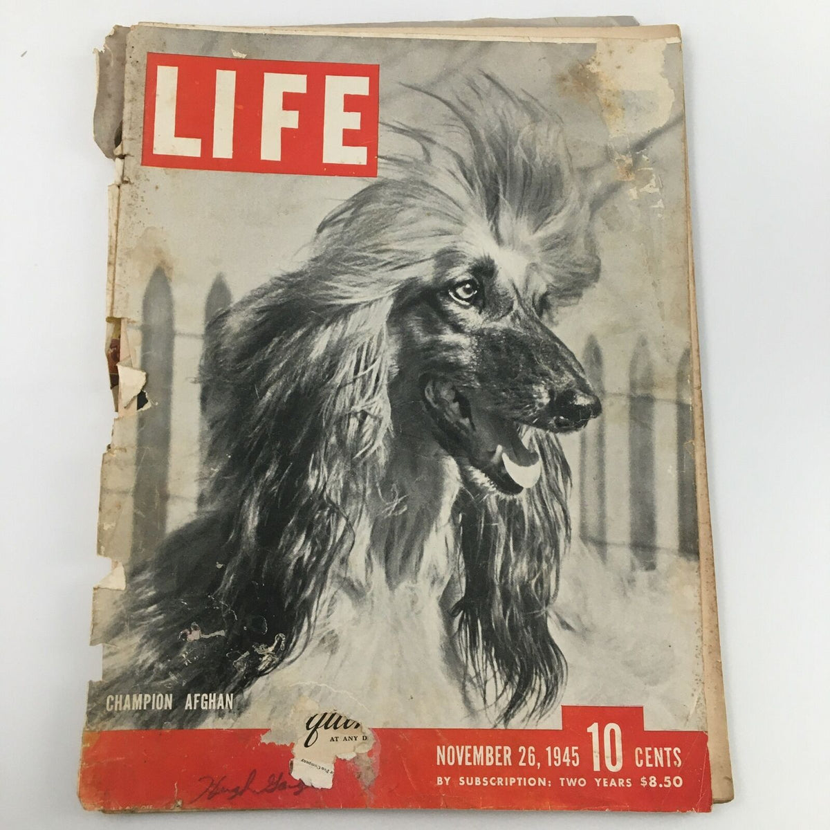 Cover of the VTG Life Magazine from November 26, 1945, featuring a Champion Afghan Hound. Nostalgic vintage magazine with visible wear, perfect for collectors and dog lovers.