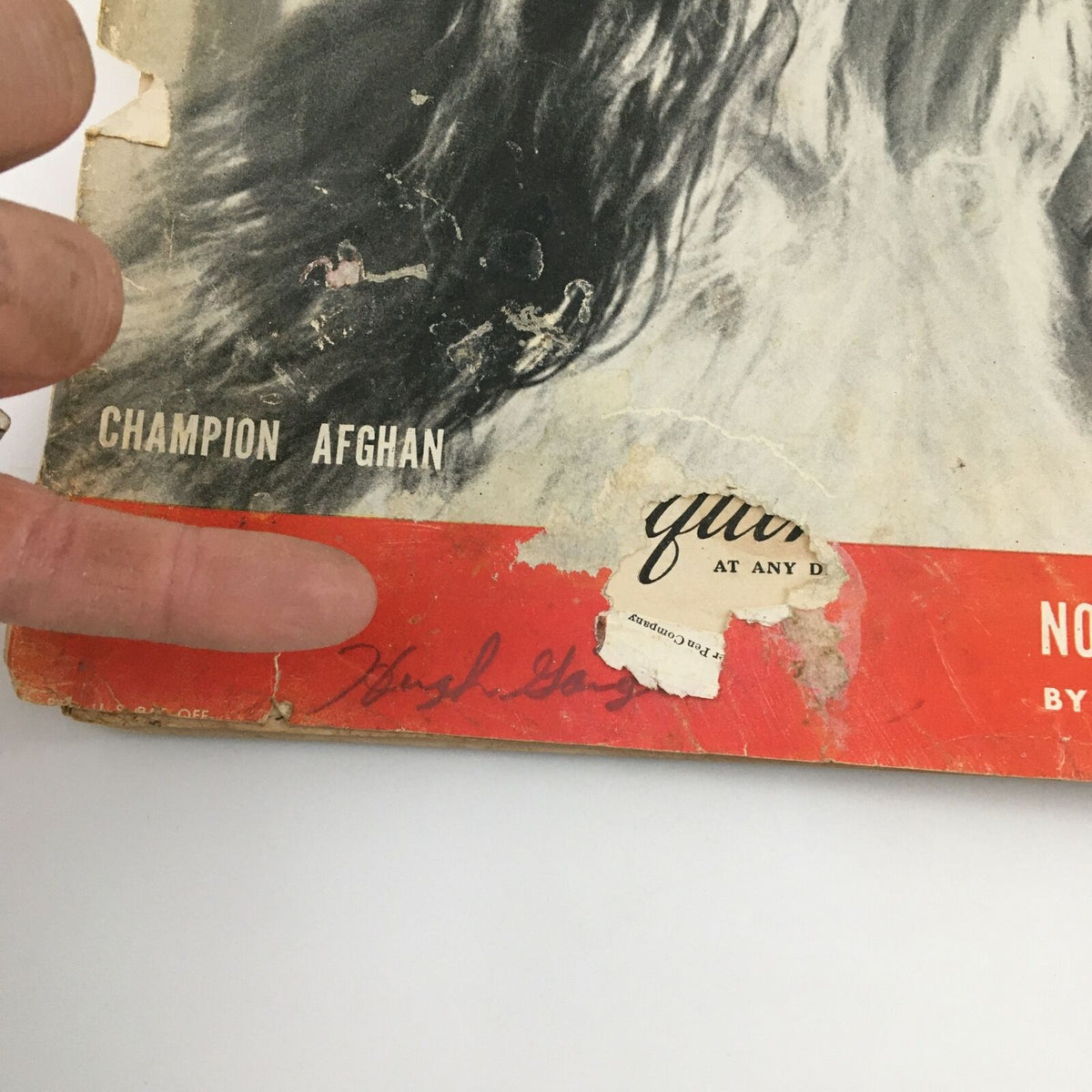 Detail of the VTG Life Magazine November 26 1945 cover, showcasing the 'Champion Afghan' text and a handwritten signature, perfect for vintage magazine enthusiasts.