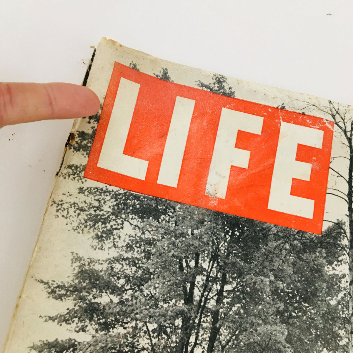 Close-up of the vintage Life Magazine's cover, dated October 29, 1945, highlighting the title and autumn forest imagery.