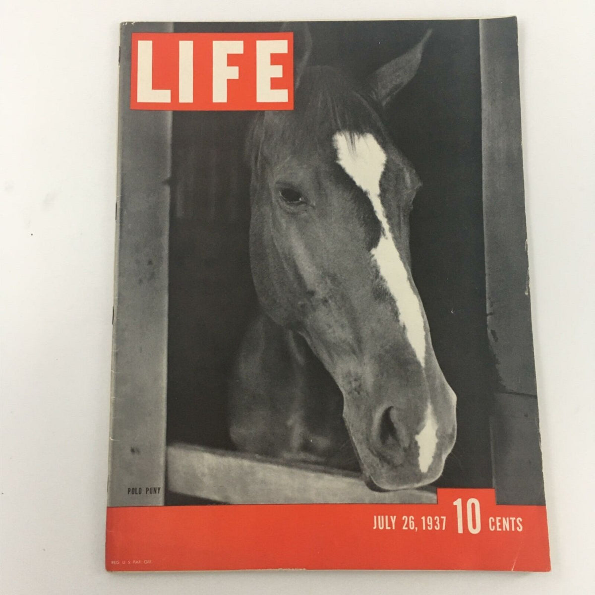 Vintage Life Magazine cover from July 26, 1937 featuring a close-up image of a polo pony, highlighting the nostalgia of horse culture with the title 'VTG Life Magazine July 26, 1937 Polo Pony Horse Newsstand' prominently displayed.