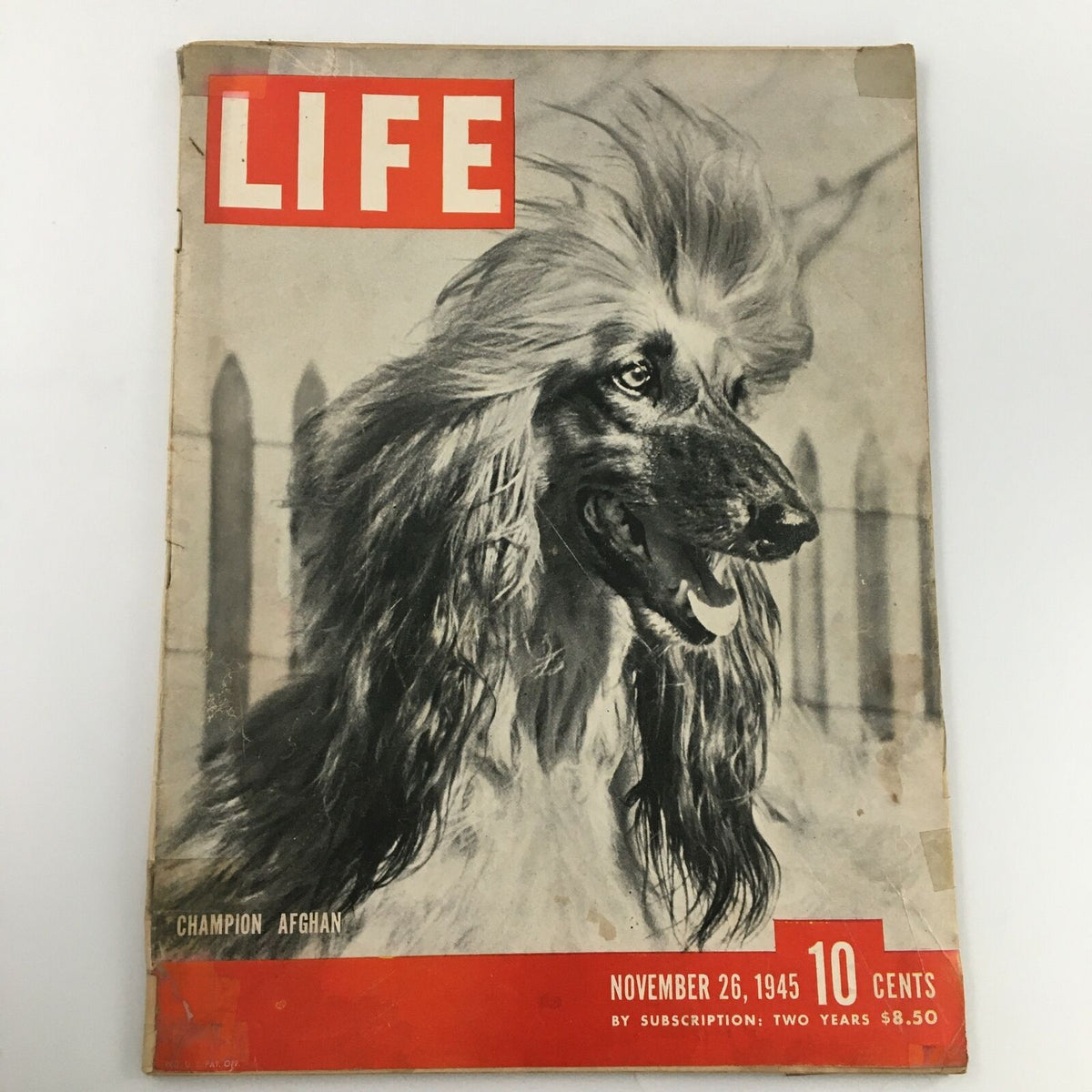 Cover of VTG Life Magazine November 26 1945 featuring a Champion Afghan dog, vintage design from the 1940s, showcasing nostalgic historical elements.