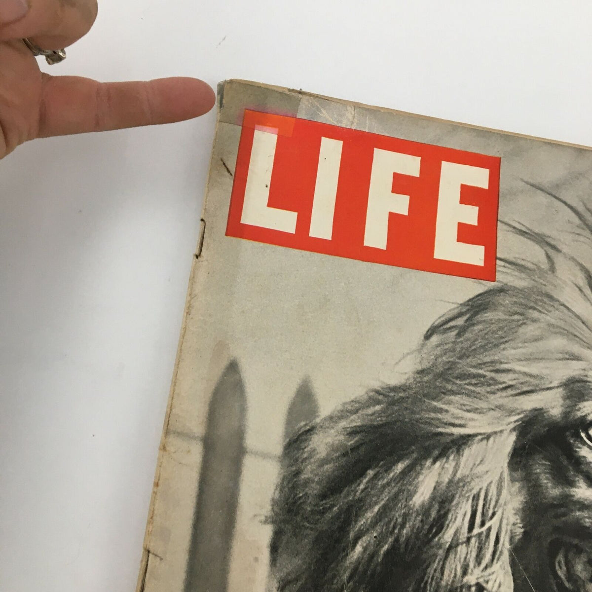 Close-up of the top corner of VTG Life Magazine November 26 1945, highlighting the iconic LIFE logo and minor wear consistent with vintage publications.