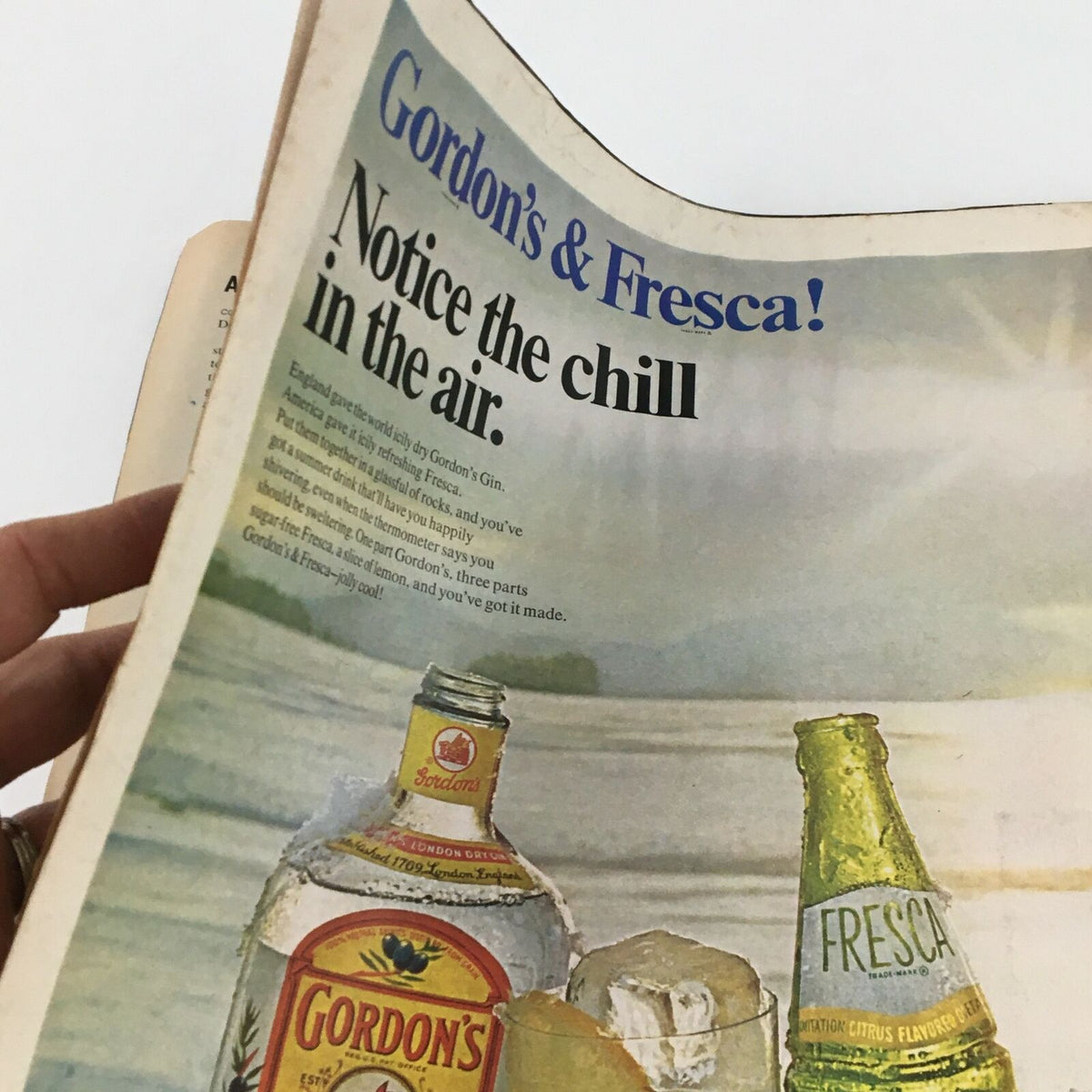 Vintage advertisement for Gordon's Gin and Fresca from the August 1, 1969 Life Magazine featuring a refreshing drink concept. Relevant to the feature on Ted Kennedy in Hyannis Port.