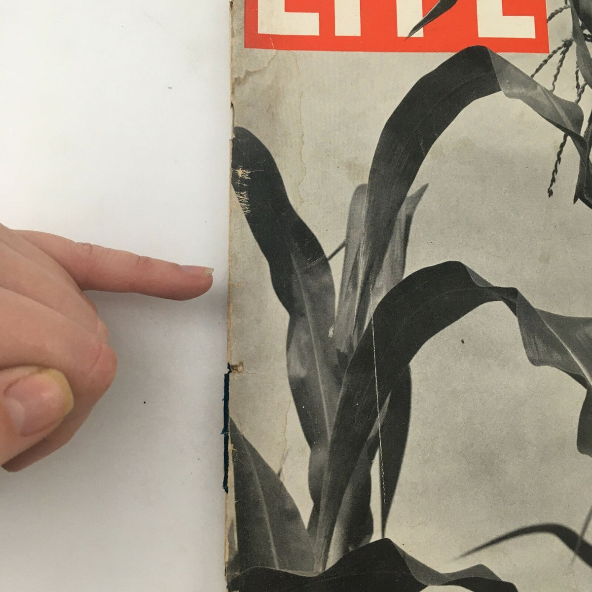 Side view of the vintage Life Magazine from July 5, 1937, prominently showing the magazine's title and the corn field imagery on the cover.