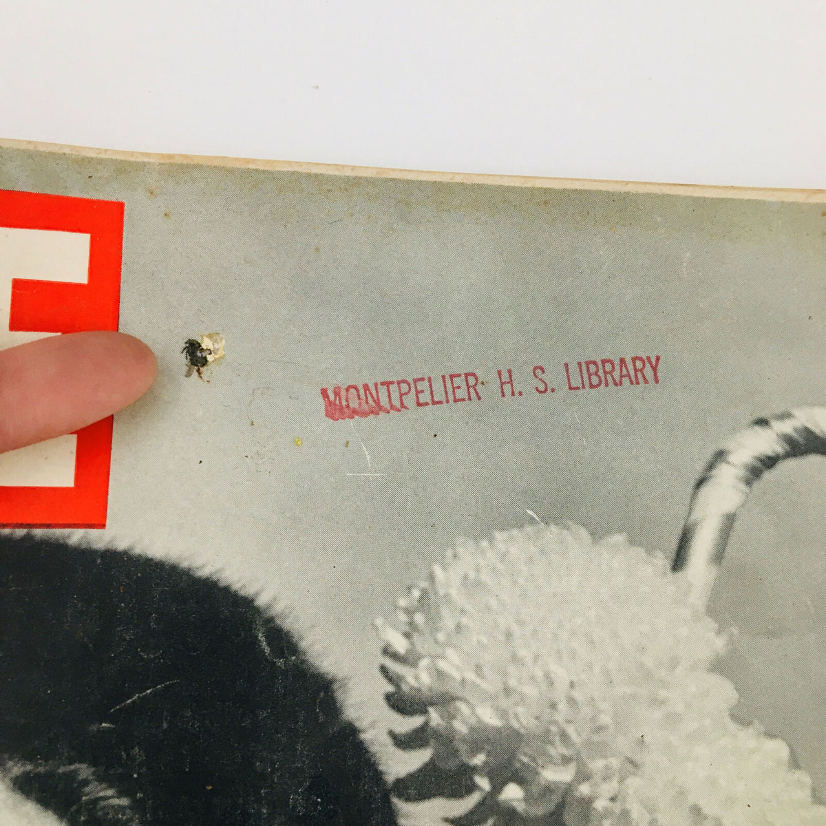 Detail of VTG Life Magazine October 14 1940 cover showing library stamp and remnants contributing to its vintage character.