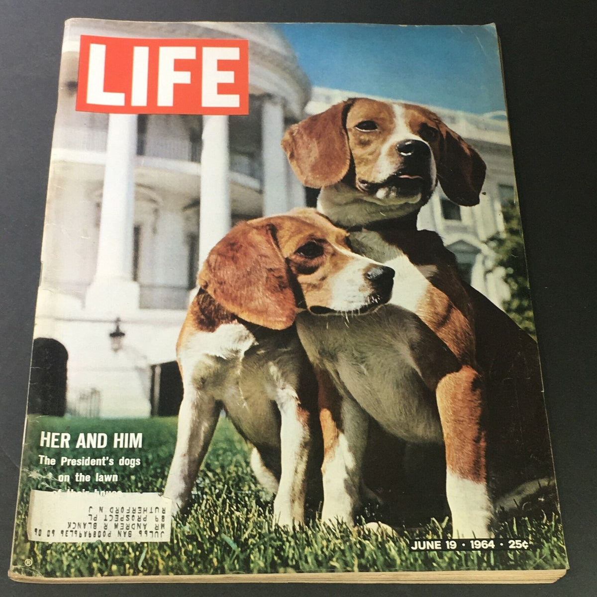 Cover of VTG Life Magazine from June 19, 1964, featuring Lyndon B. Johnson's Beagles of the White House, with two beagle dogs on the lawn in front of the White House.
