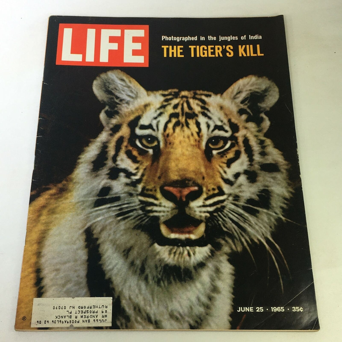 Cover of VTG Life Magazine from June 25, 1965 featuring 'The Tiger's Kill Photographed in India', showcasing a majestic tiger in vivid detail.