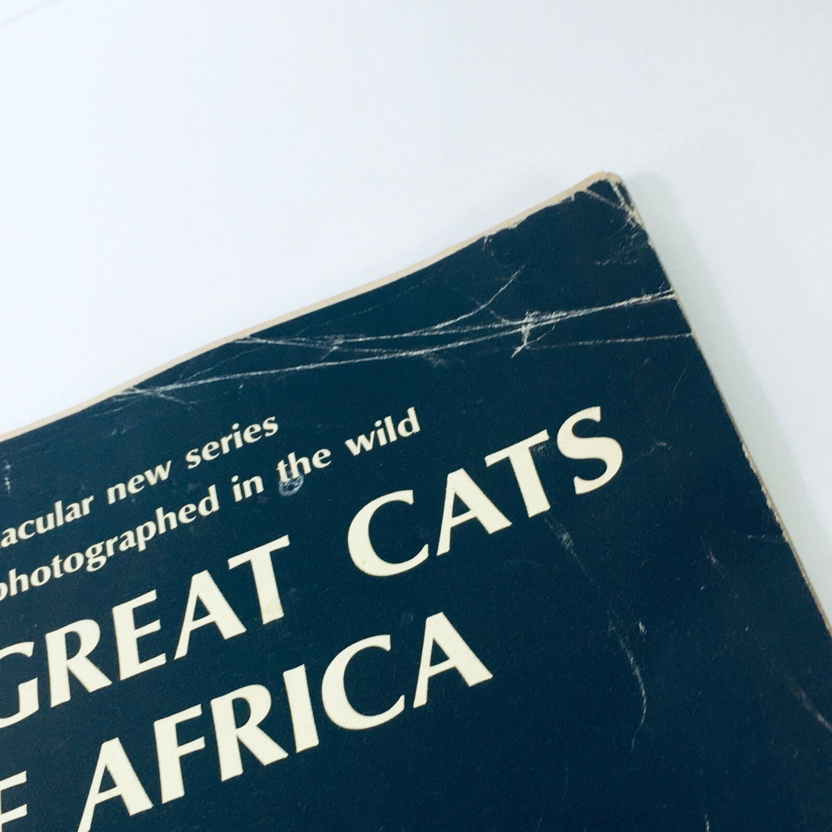 Close-up view of the cover of VTG Life Magazine January 6, 1967, featuring the title The Great Cats of Africa. The image shows wear and tear, including scratches and creases, characteristic of a vintage publication.