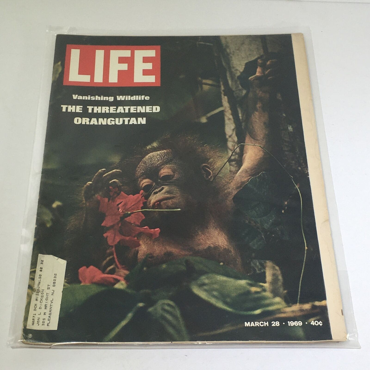 Vintage Life Magazine cover from March 28, 1969 featuring 'The Threatened Orangutan' and 'Vanishing Wildlife,' depicting a young orangutan amidst vibrant flowers.