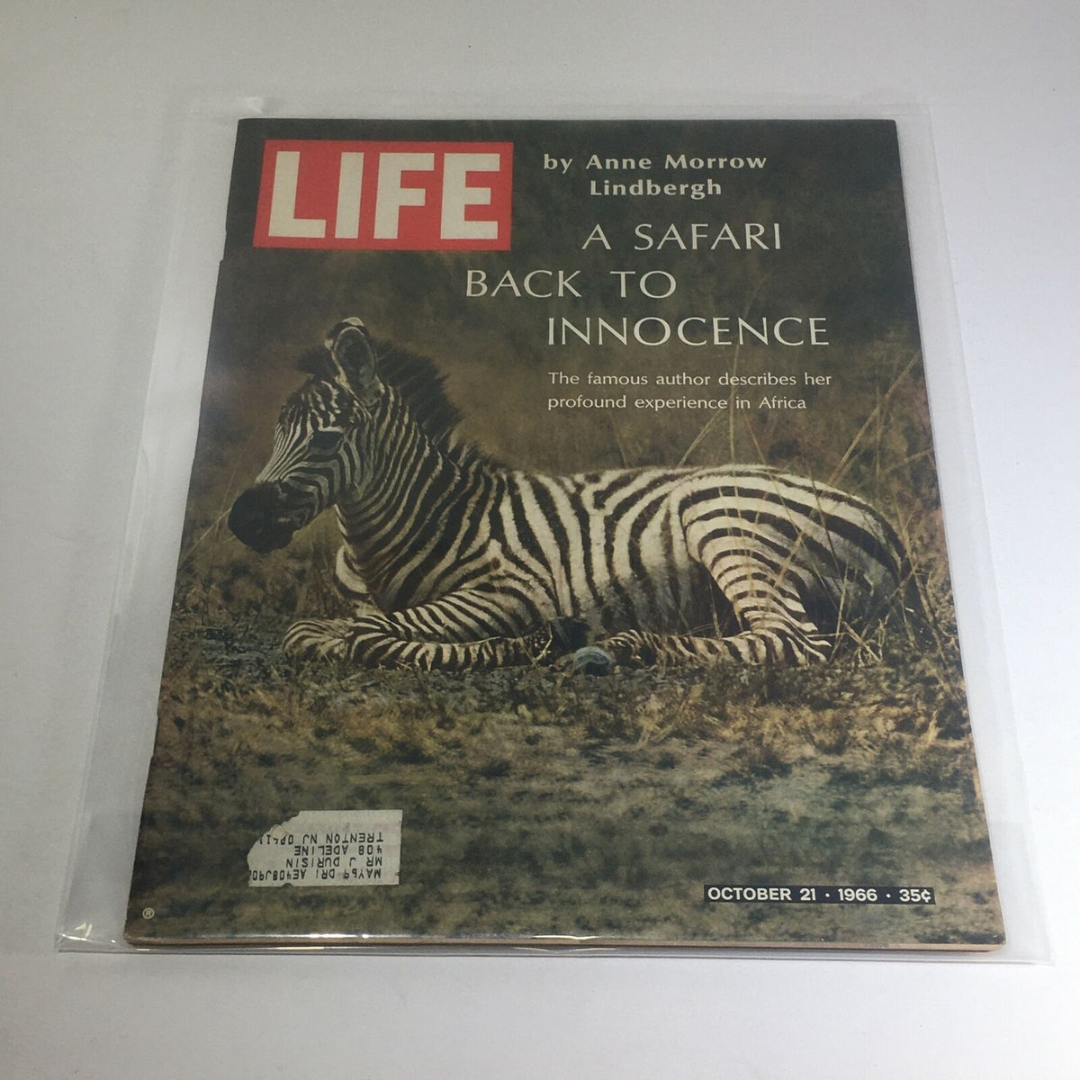 Vintage Life Magazine cover from October 21, 1966 featuring 'A Safari Back To Innocence' by Anne Morrow Lindbergh, showcasing a zebra resting in the wild, with an address label on the bottom.
