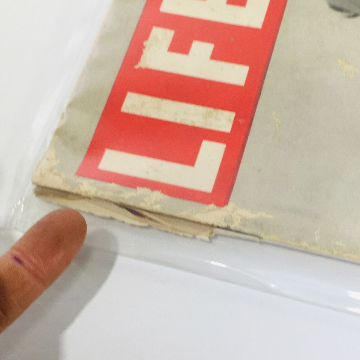 Close-up of the vintage Life Magazine from February 4, 1952, highlighting the wear on the cover and the iconic LIFE logo in red.