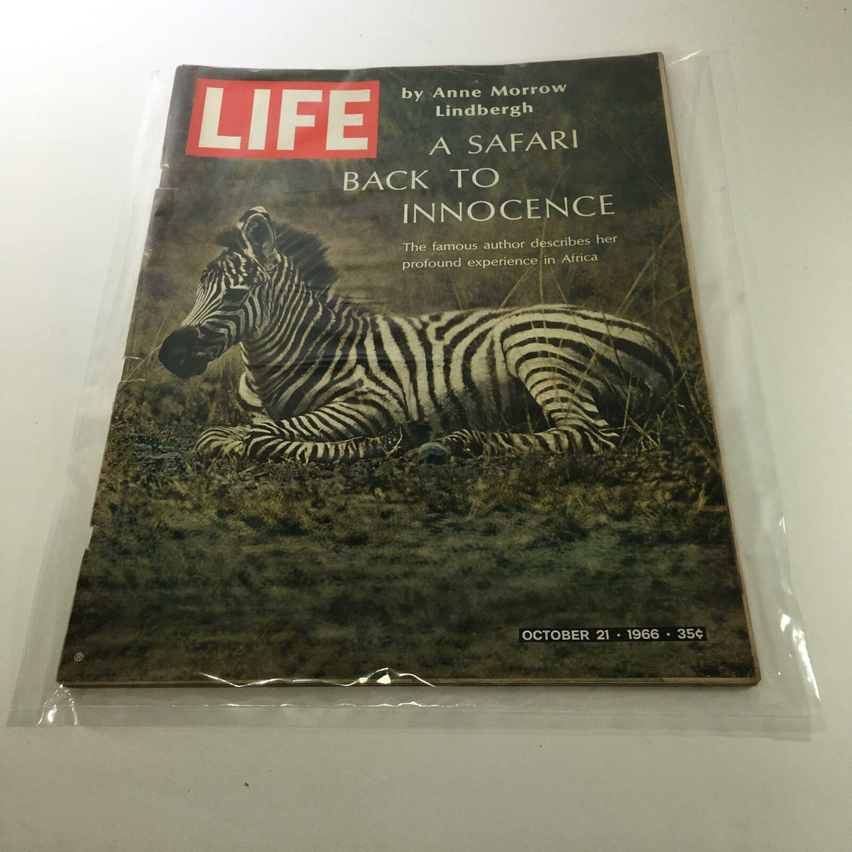Vintage Life Magazine from October 21, 1966 featuring the article by Anne Morrow Lindbergh titled 'A Safari Back to Innocence', showcasing a zebra on the cover.