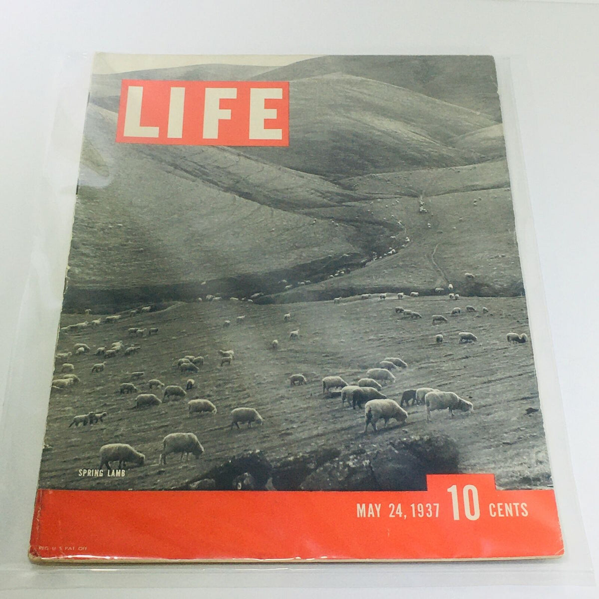 Vintage Life Magazine cover titled 'Spring Lamb' from May 24, 1937, featuring a black and white image of sheep grazing in a hilly landscape, with a red border and text indicating the date and price.
