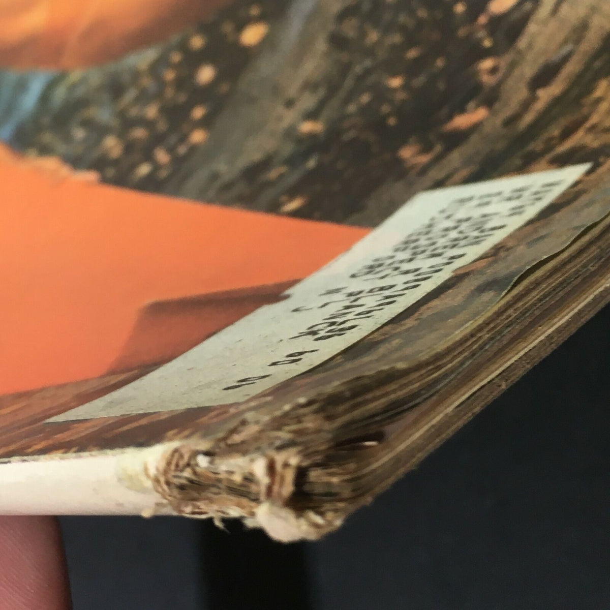 Close-up of the corner of the VTG Life Magazine from October 25, 1963, showing some wear and tear, used condition with frayed edges, featuring Yvette Mimieux.