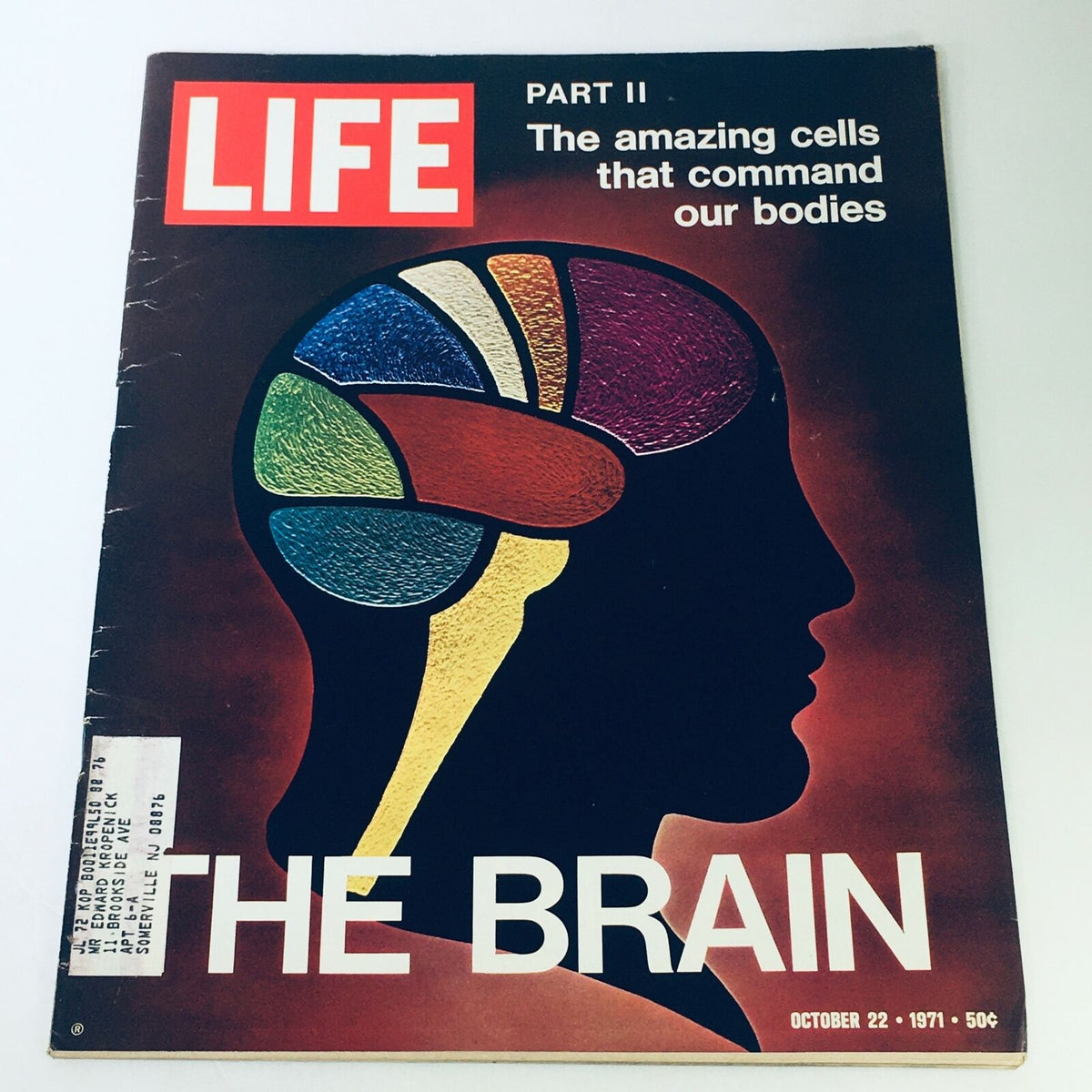 Cover of VTG Life Magazine December 22, 1971, featuring a colorful illustration of a brain with diverse sections, titled 'The Brain and The Amazing Cells Part II'.