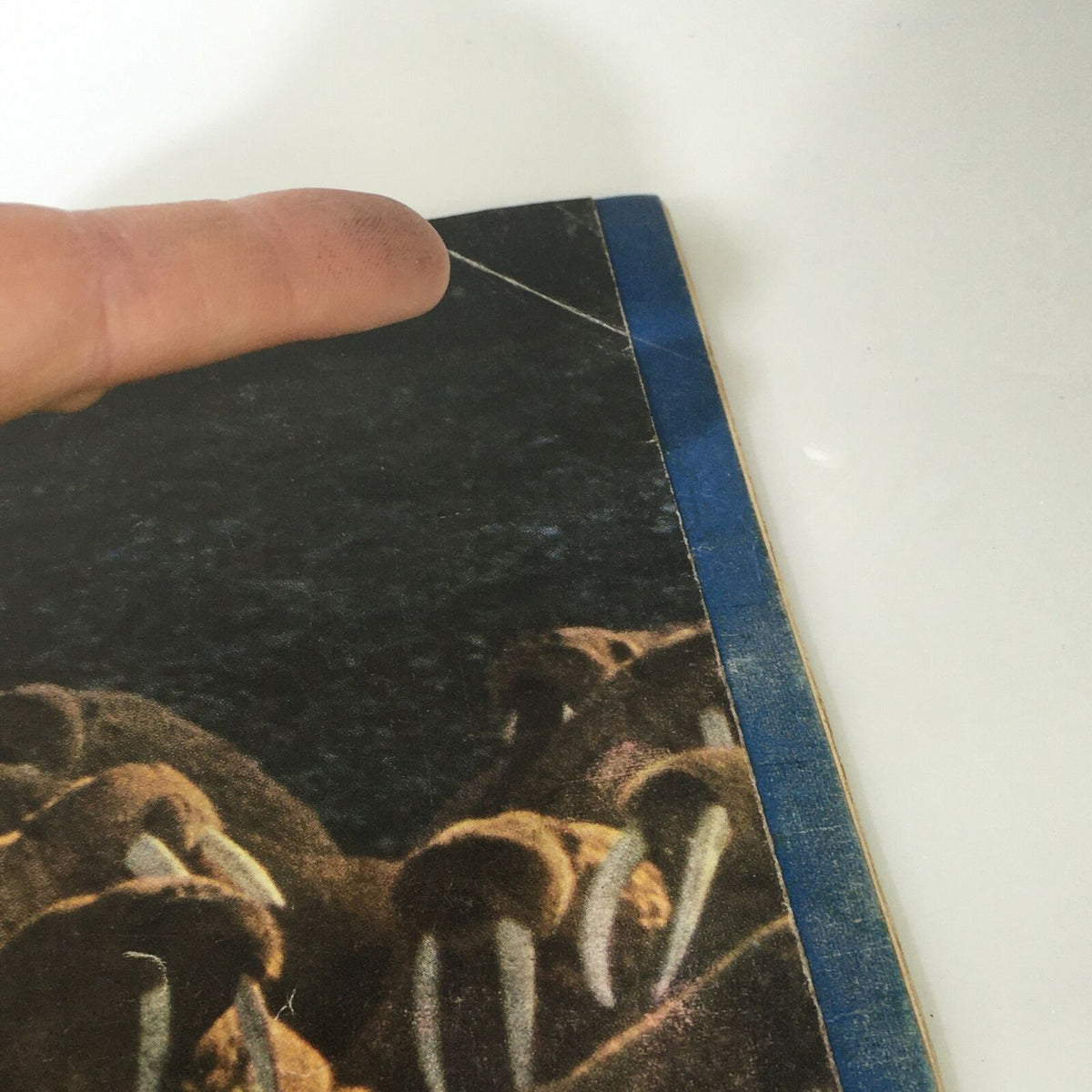 Detail shot of the top corner of VTG Life Magazine June 27 1960, highlighting wear with a finger pointing towards a minor crease, showcasing the magazine's age and condition.