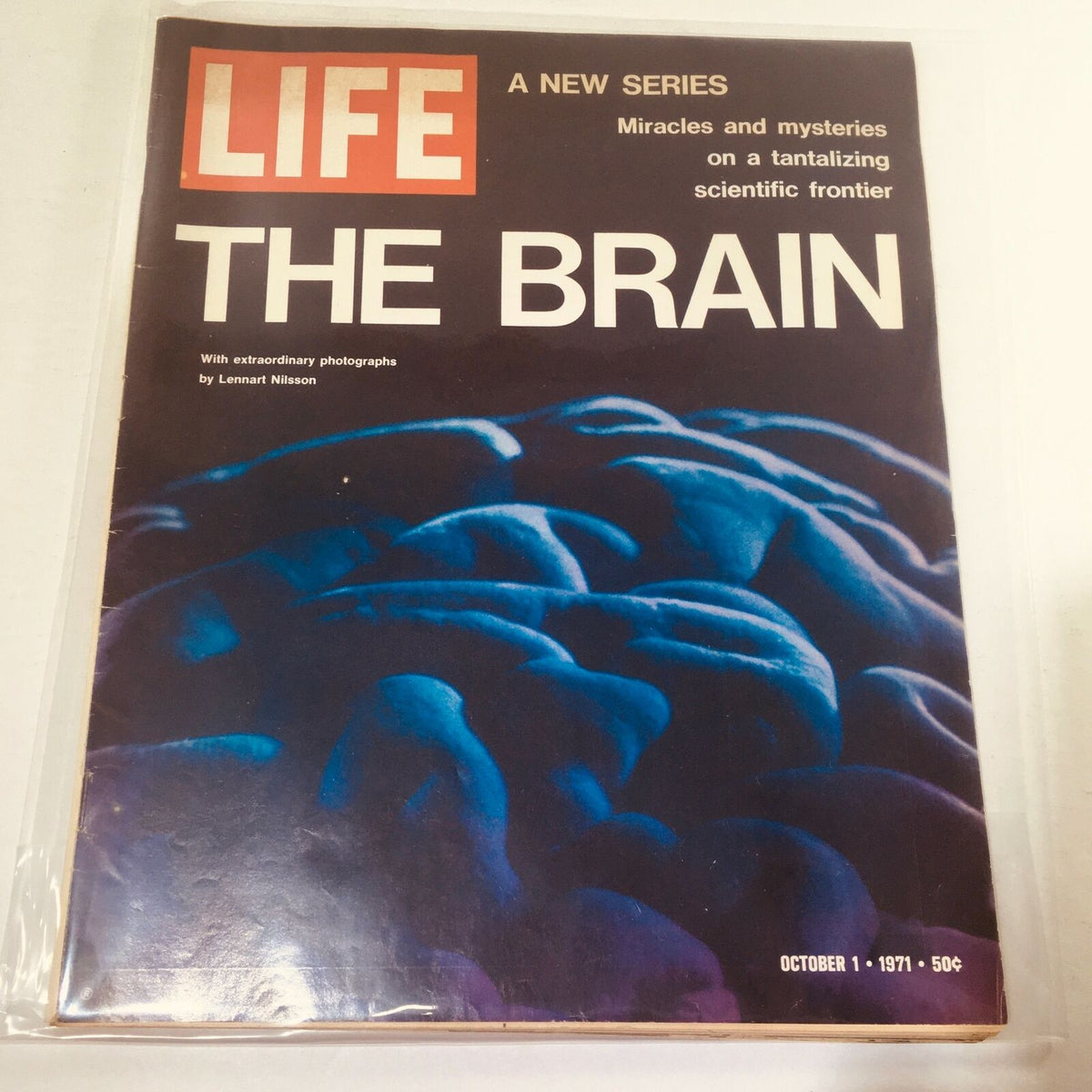 VTG Life Magazine: October 1 1971 cover featuring 'The Brain' by Lennart Nilsson, highlighting the complexities of the human brain with vibrant photography.