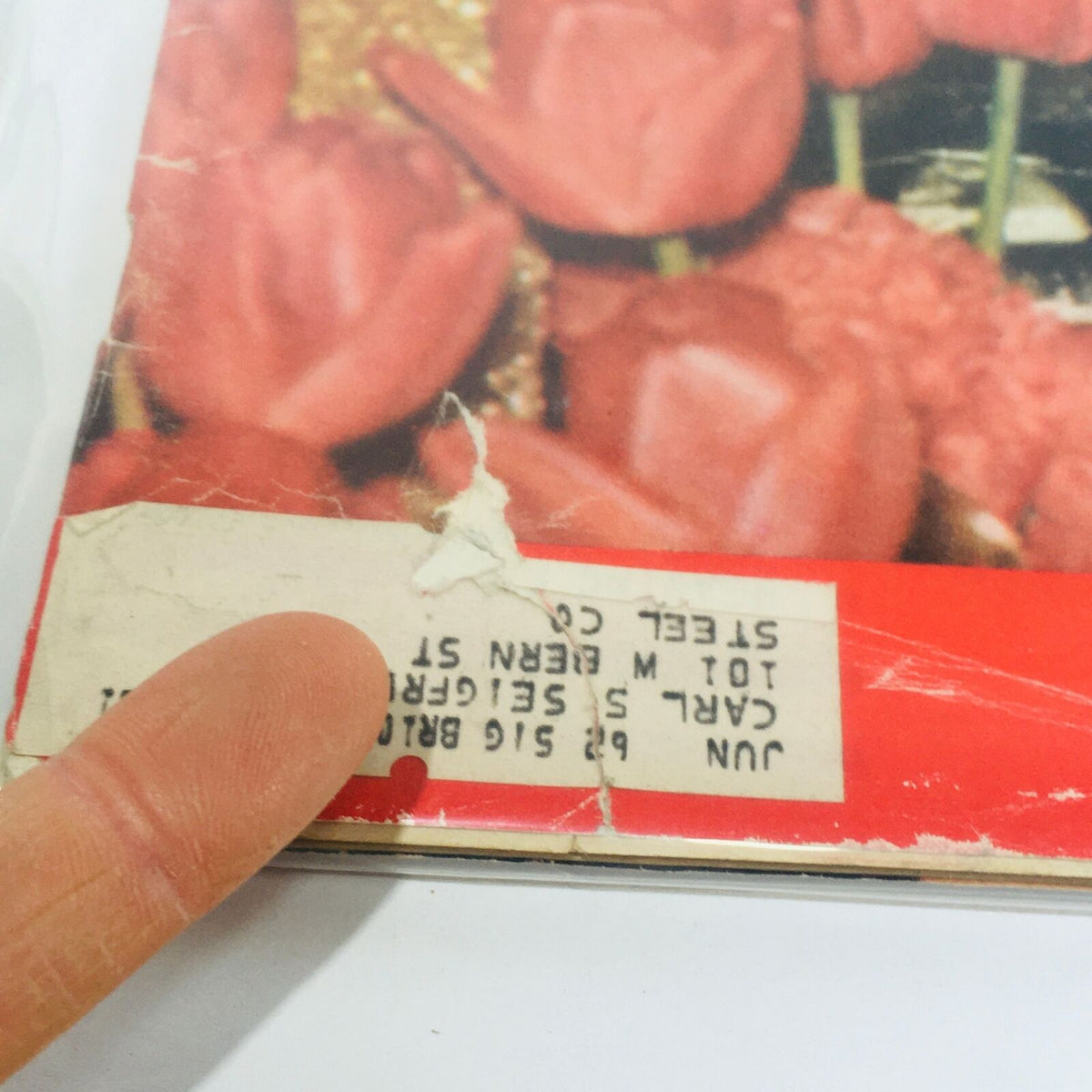 Close-up of the corner of a vintage Life Magazine from April 28, 1961, featuring Elizabeth Taylor, with visible wear and tear, including a small rip and an address label on the cover.
