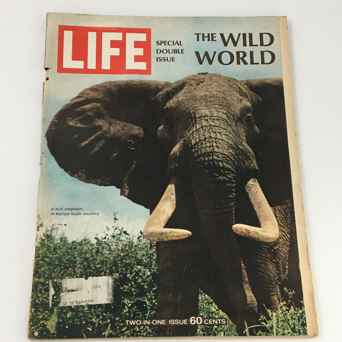 VTG Life Magazine December 22 1967 cover featuring a stunning photo of a Bull Elephant in Kenya, highlighting wildlife and nature preservation.