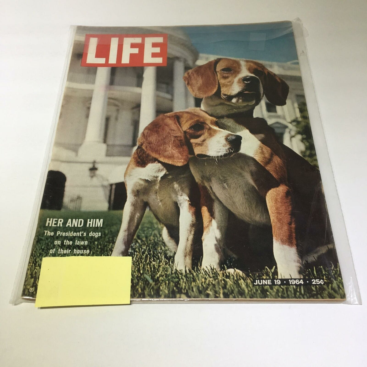 Vintage Life Magazine cover from June 9, 1964, featuring President Lyndon B. Johnson's dogs on the lawn, showcasing two beagles with the caption 'HER AND HIM'.